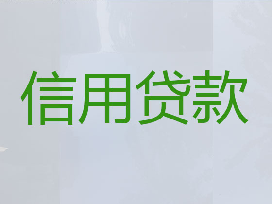 九江本地贷款中介公司